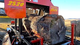 Sawing a Huge Monster Pine Log!