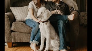 “CULTO” PARA PETS, Igreja causa polêmica I Reflexão