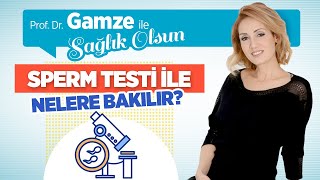 Sperm Testi Nedir, Nerede Yapılır? Sperm Test Sonucu Ne Zaman Çıkar? - Prof. Dr. Gamze Sinem