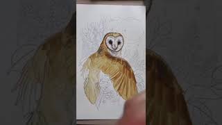 A barn owl just for fun today 🥰 painting artist barnowl owl tattooartist tattoo fyp foryou smallbu