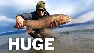 Searching For GIANT Trout | Solo Camping 24 hours