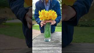 Easy Daffodil Flower Arrangement