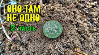 С СЕРЕБРОМ и НЕ ОДНИМ.. КОП 2021 в ЛЕСУ с ДРУЖКОМ. Часть 2. METAL DETECTING COINS  Rutus Alter 71