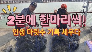 💥기록갱신 우럭80마리💥고기가 다니는 길을 알면 누구나 대박조과‼️ 오전, 오후 자세한 포인트공개 (fishing)