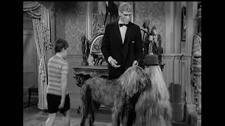 Cousin Itt trifft den Hund | Adams Family (1964) | Memes