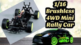 Turnigy 1/16 Rally 4wd brushless rc car