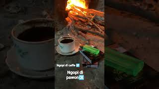 setory ngopi santai menikmati kerasnya dunia