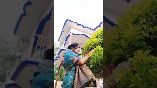 बागवानी #garden #gardening #life #lifestyle #vlog #shorts #shortsvideo #shortsfeed