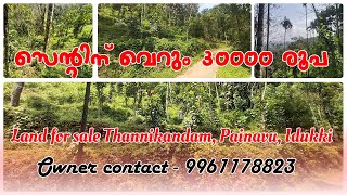 30000 രൂപക് സ്ഥലം വില്പനക് | Land For Sale In Idukki | Near Thannikandam Painavu | Kerala Realestate