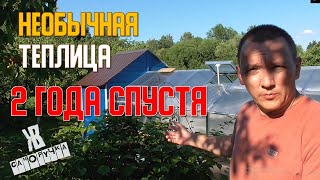 Теплица из стоек для гипсокартона своими руками. Что с ней стало через 2 года. ЖКВ Саморучка