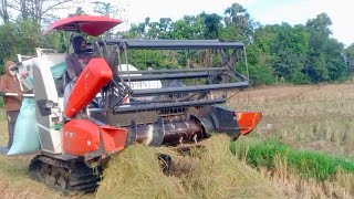 Mesin Panen Padi Paling Tercepat YouTube Kubota 70 plus#352