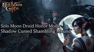 Solo Moon Druid Shadow Cursed Shambling Mound Honor Run