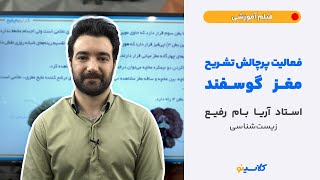 فعالیت بر چالش تشریح مغز گوسفند  (استاد آریا بام رفیع - زیست شناسی)