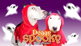 (Official) Doggy Spooky Lyric Video | MisterMainer