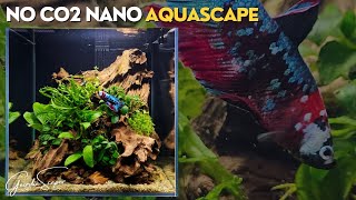 Step by Step Tutorial AQUASCAPE in 30cm/12" NANO AQUARIUM