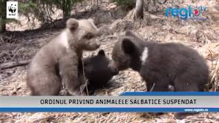 ORDINUL PRIVIND ANIMALELE SALBATICE SUSPENDAT