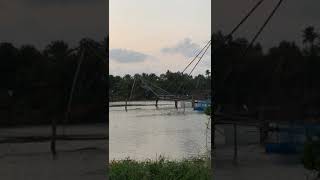 CHINESE FISHING NET// KERALA //ചീനവല//#shorts