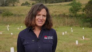 Replanting Tilba Tilba with the Wagonga Sea Country Rangers