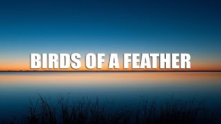 Billie Eilish - BIRDS OF A FEATHER (Lyrics)