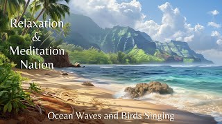 Tropical Beach with Ocean Waves and Birds Singing Ambience - Water Sounds and Birdsong - 1 Hour