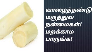 வாழைத்தண்டு மருத்துவ நன்மைகள் | Banana Stem Health Benifits in Tamil | @HealthTips24Tamil