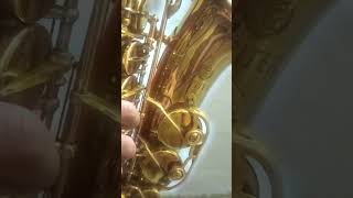 Alto sax Improv solo with growling part 12 Final part! #altosaxsolo #jazzsolo #jazz