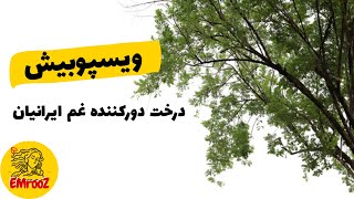 ویسپوبیش، درخت دورکننده غم در اساطیر ایران - مینوی خرد - قسمت ۵