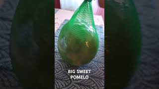 big Sweet Pomelo #asmr #wilmiltv #shortvideo #short