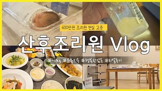 산후조리원 브이로그 │2주에 600만원 조리원은 어떨까?│마사지 받고 -11kg│수유지옥│행복한 감옥 생활