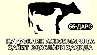 66-Дарс: Қурбонлик аҳкомлари ва ҳайит одоблари ҳақида | Шайх Абдуллоҳ Зуфар Ҳафизаҳуллоҳ