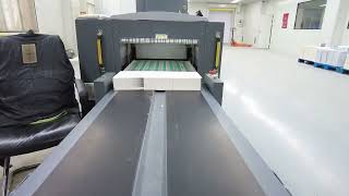 Founder  P5600 Inkjet Roll to Sheet  priniting machine at end User's site