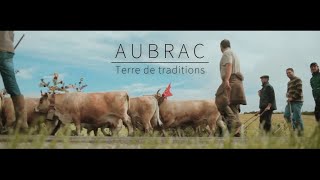 Aubrac Vidéo terre de traditions