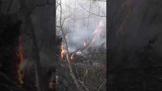 Incendiu vegetatie Podei Tisesti 28.03.2022