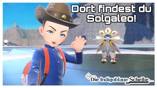 So findest du Solgaleo - Pokemon Karmesin & Purpur DLC die Indigoblaue Scheibe