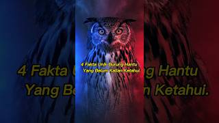 Fakta Menarik Tentang Burung Hantu #shorts #faktaunik #fyp #faktapopuler #faktamenarik