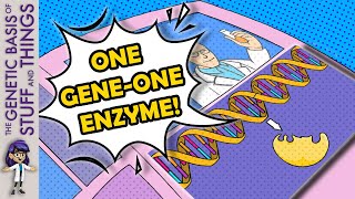 Explaining the GENE-ius discovery of the “one gene - one enzyme” hypothesis