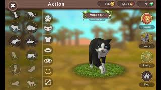 Wildcraft secrets animal cat 😺🐈( update idea )