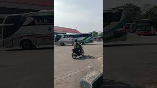 BERANGKAT BUS BUDIMAN TUJUAN TASIK DARI TERMINAL KP RAMBUTAN #shortvideo #shorts