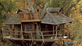 Esta casa sí que mola: Las casas árbol