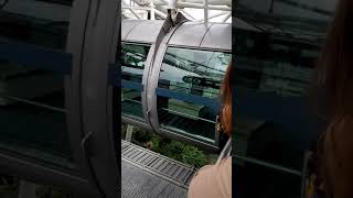 Singapore flyer | singapore view eye 👁️👀😜🌟🌟🌟🌟🌟