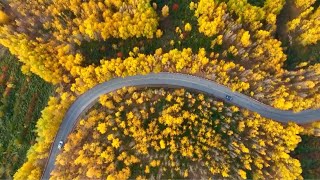 Breathtaking autumn scenery across China