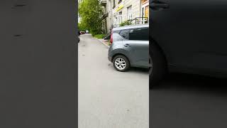 Как паркуют автомобили во дворах Петербурга