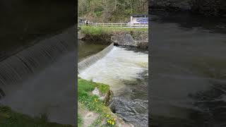 Dangers of a weir!