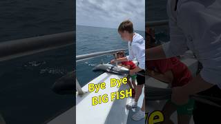 Let Go Big Fish Back To Deep Ocean #fishing #aquatic #fish