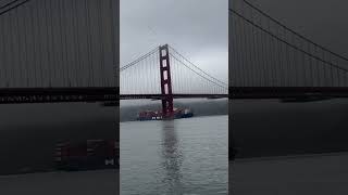 #sanfrancisco #golden gate Bridgeport #park #travel #golden #gate #bridge