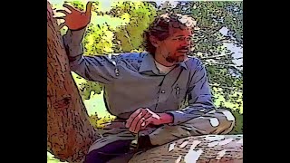 Terence McKenna: Sitting in Tree Talking about Virtual Reality