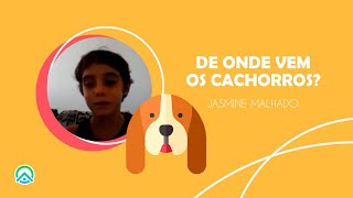 De onde vem os cachorro? #10