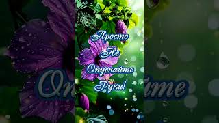 Красивое пожелание  друзьям,родным и любимым!🦋💙⚘️ #музыкабезграниц