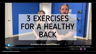 3 EXERCISES FOR A HEALTHY BACK