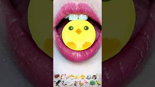 asmr CRUNCHY CHICK🐤 BIRDS 🐥🦚🦩🦅🦉🐧 satisfying eating sounds mukbang 먹방